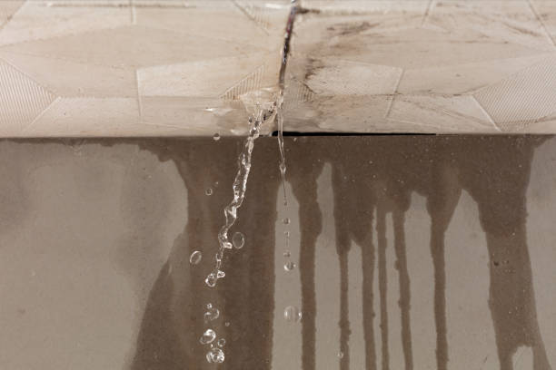 Professional Water Damage Restoration technician working in Forest Falls, CA
